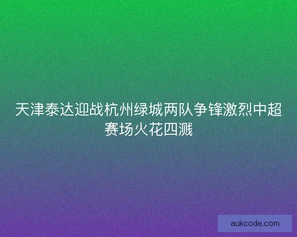 天津泰达迎战杭州绿城两队争锋激烈中超赛场火花四溅